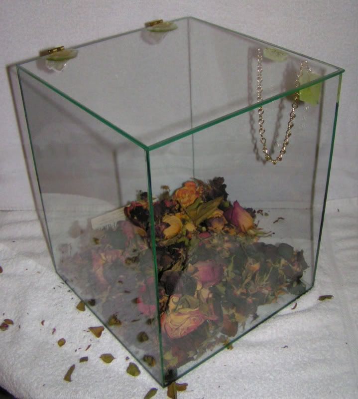 Dried Roses Glass Cases